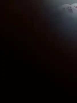 foxxy_and_lion's cam snapshot