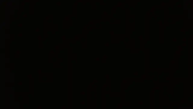 petitoiseau67's cam snapshot