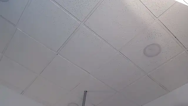 Dayaaan_ live sex cam