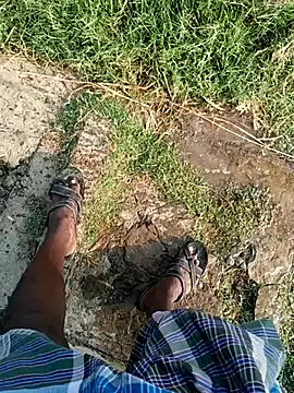 dolphiinn live sex cam