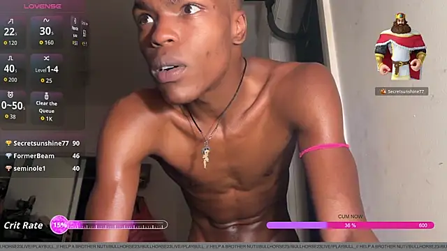BullHorse23LIVE live sex cam