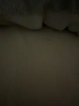 nyrazen's cam snapshot