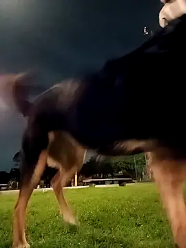 angel_naturall's cam snapshot