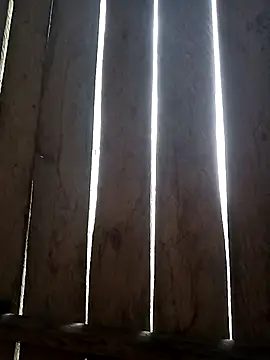 bonnie-00's cam snapshot