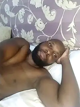 Stallion100 live sex cam