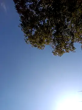 Punam_sing's cam snapshot