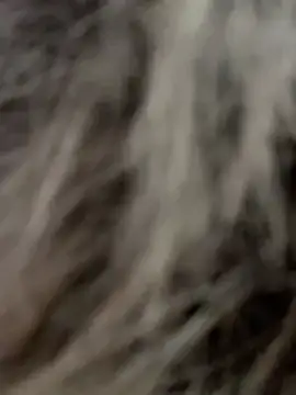 StasyWood's cam snapshot