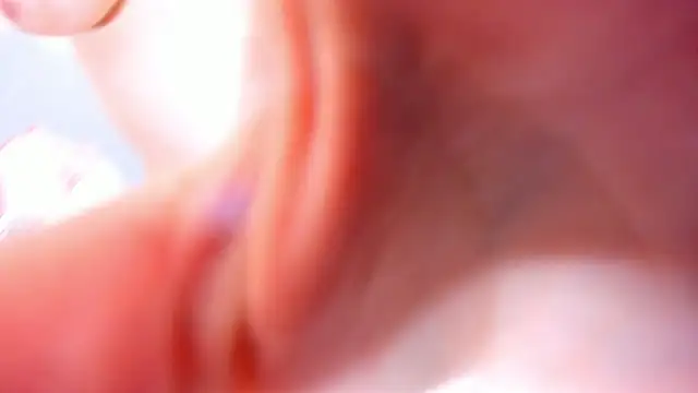 Eva_Davi live sex cam