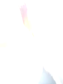 Co_punam's cam snapshot