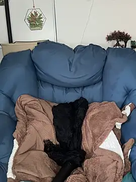 Ana-ya16's cam snapshot