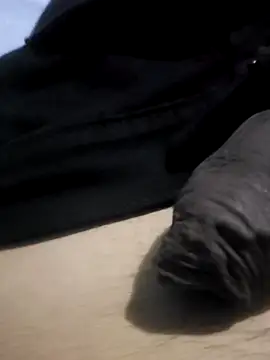 novinho_hot69 live sex cam