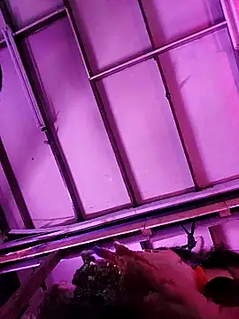 ladystichita's cam snapshot