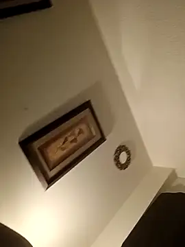 ReallyReallyReal's cam snapshot