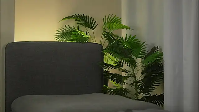 akumadadrive's cam snapshot