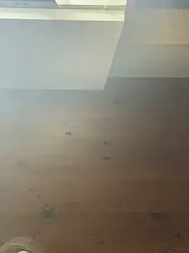 Petebulimia's cam snapshot