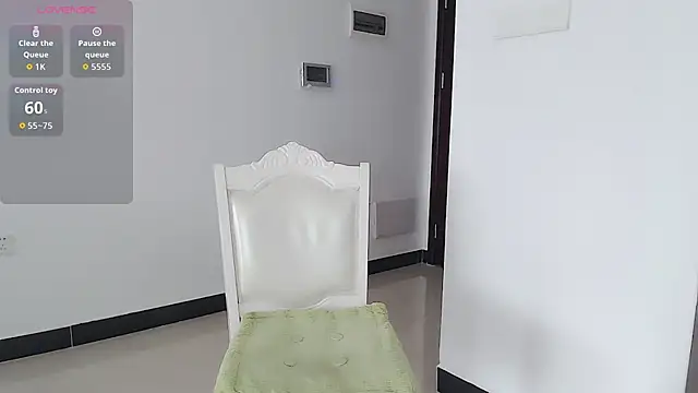 KK-328's cam snapshot