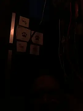 Likewise's cam snapshot