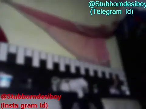 Stubborndesiboy live sex cam