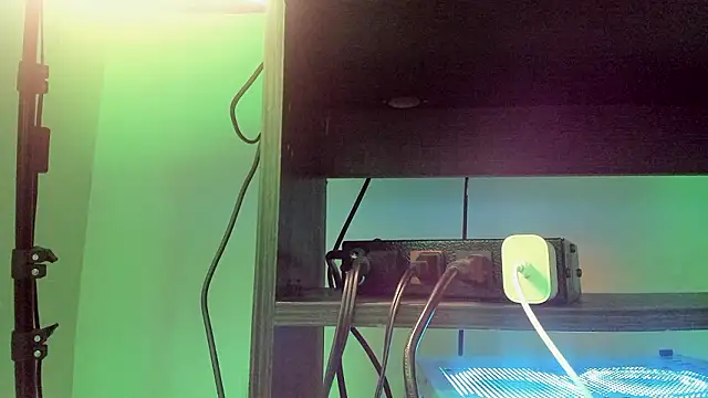 sirio_js's cam snapshot