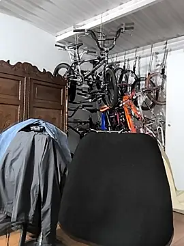 RejoinedLescol's cam snapshot