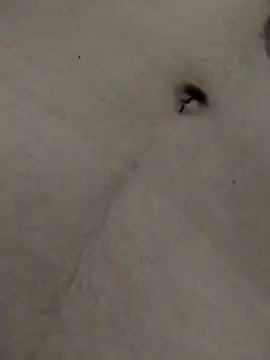 Smith_grace25's cam snapshot