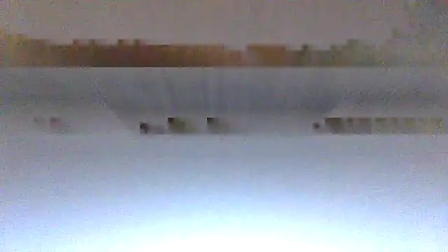 pancraziosocrate69 live sex cam