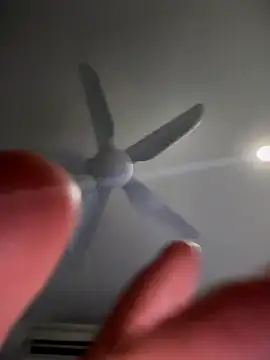 CD_Sub2021 live sex cam