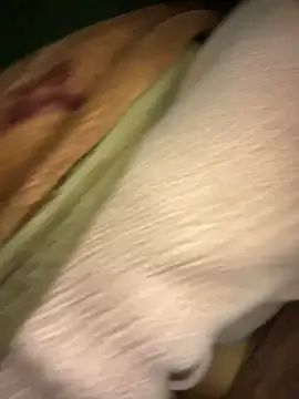 Sunset-yll's cam snapshot