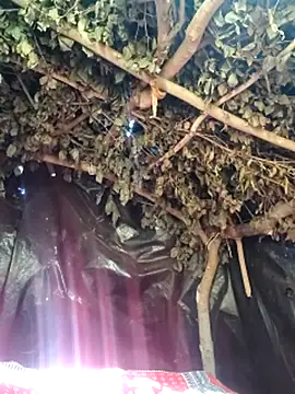 Babita_Gori's cam snapshot