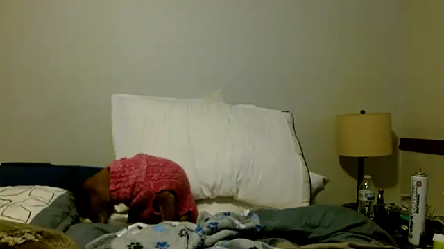 FrankieFuckMe live sex cam