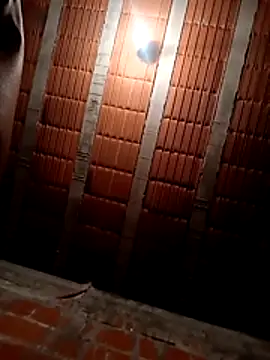 Performance369 live sex cam