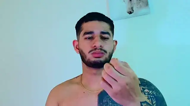 king_falconer's cam snapshot