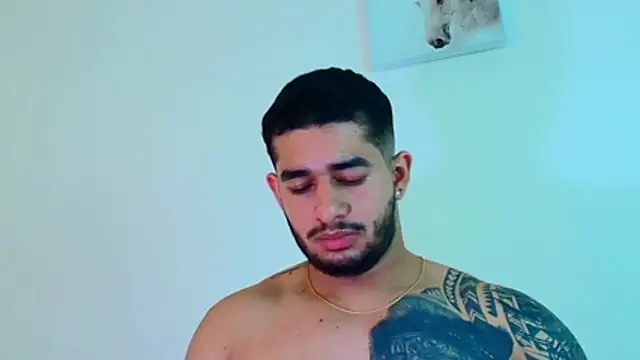 king_falconer's cam snapshot