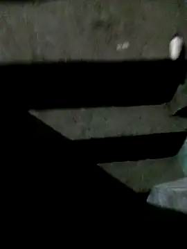 Bebicho14's cam snapshot