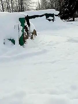 _uncle_Mitya-43_'s cam snapshot