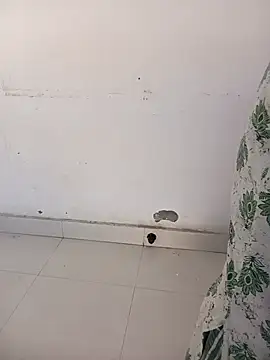 Sarita-school's cam snapshot