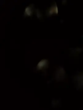 DADDY69SS live sex cam