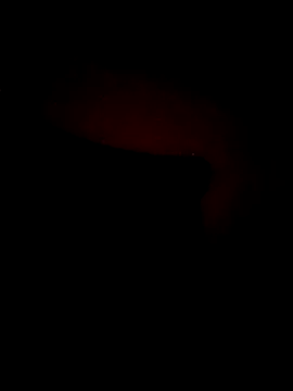 ChuckyyDee live sex cam