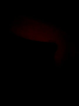 ChuckyyDee's cam snapshot