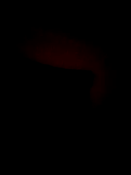 ChuckyyDee's cam snapshot