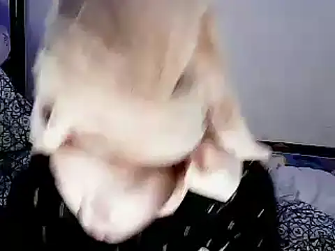 xxhotamizinggirl's cam snapshot