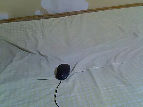 EbonyMina_'s cam snapshot