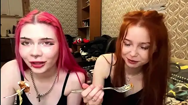 Veldenga's cam snapshot