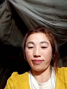 seacyre's cam snapshot