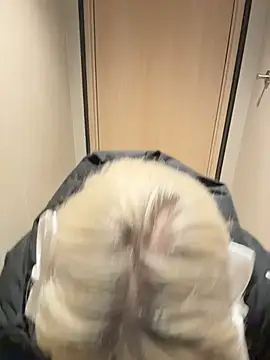 Chiibi's cam snapshot