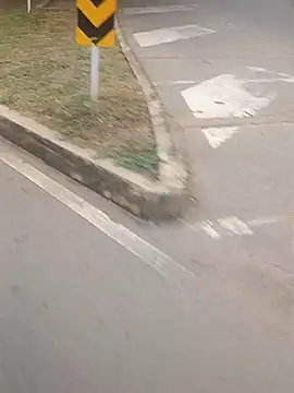 valeriaswang_Lucas's cam snapshot