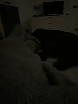 ANONIMO7735 live sex cam