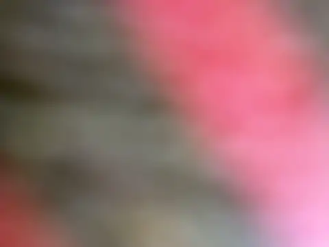 Gasc_1992's cam snapshot