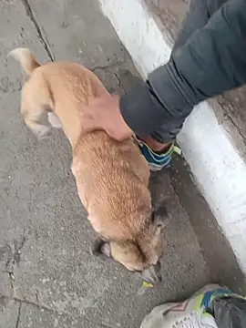 valeriaswang_Lucas's cam snapshot