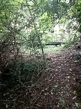 Nacho18hot live sex cam